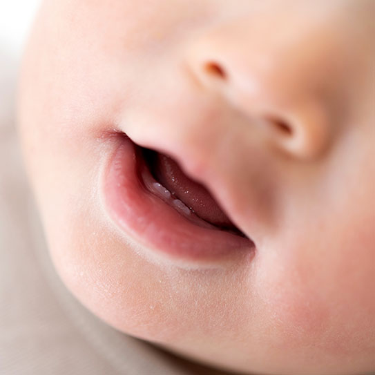 pediatric dentistry Fort Collins first dental visit