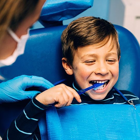 - The ToothZone Network- Dentists in Fort Collins and Loveland