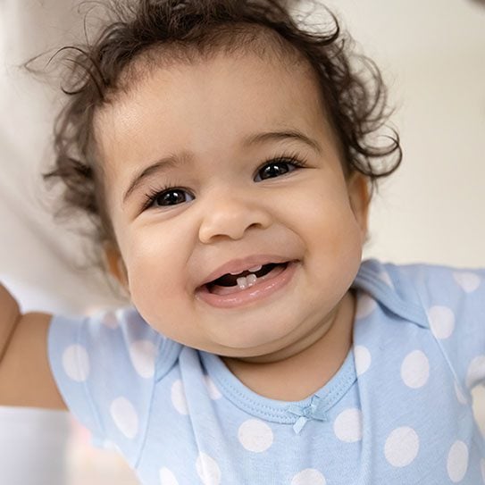 - The ToothZone Network- Dentists in Fort Collins and Loveland